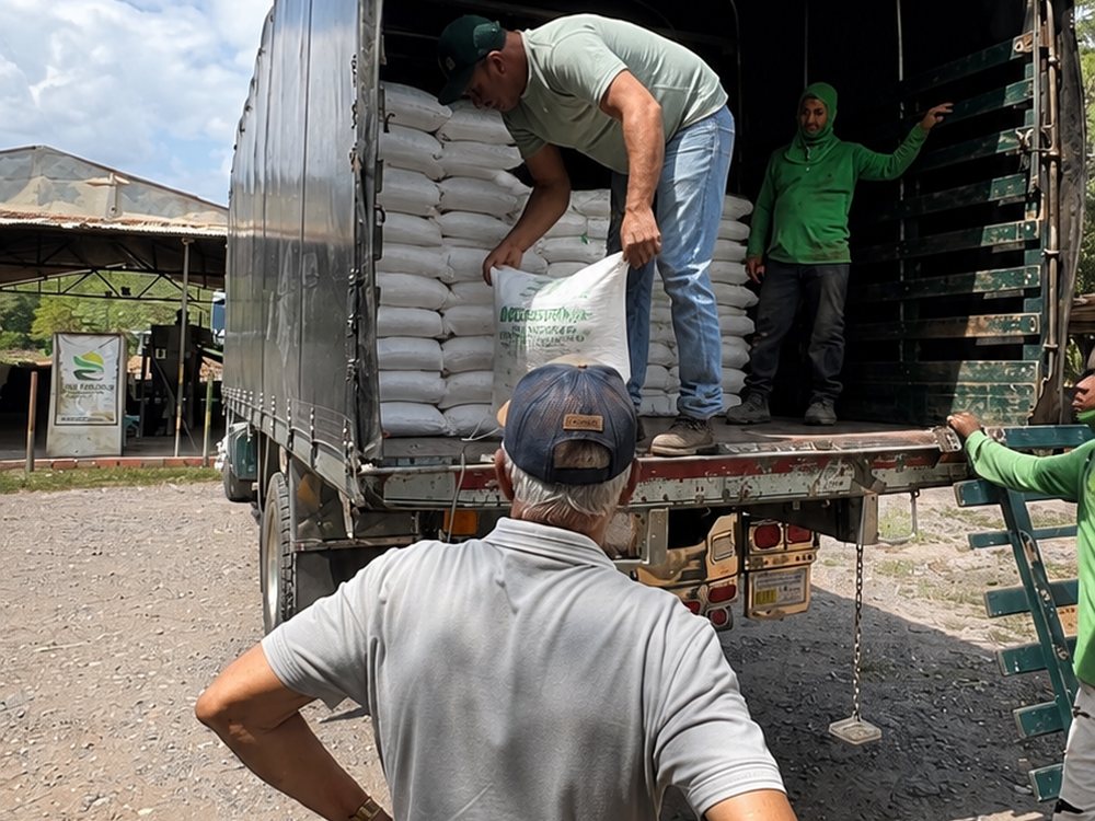 Vehículo de carga para distribución de productos